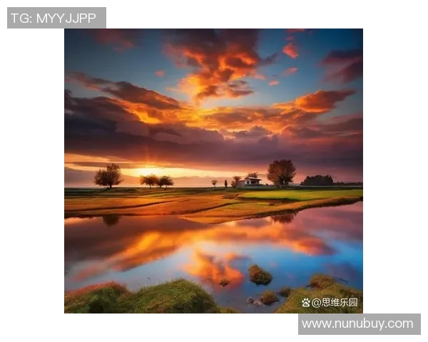 当绿茵场上的传奇与书页间的梦幻交汇时的浪漫故事