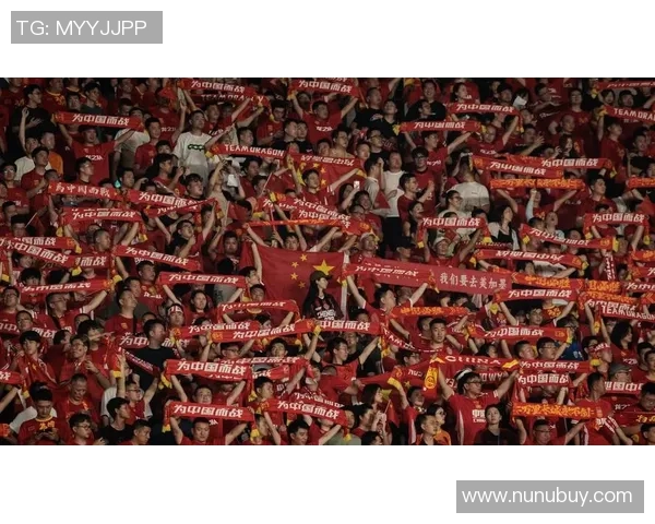 足球明星为何鲜少选择中国作为训练基地的深层原因探讨